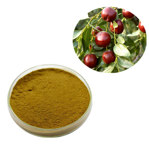 jujube fruit extract