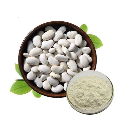 Kidney Bean Extract