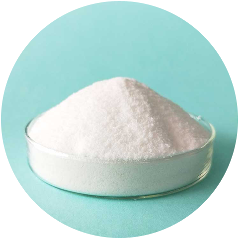 Functions of L-Ornithine