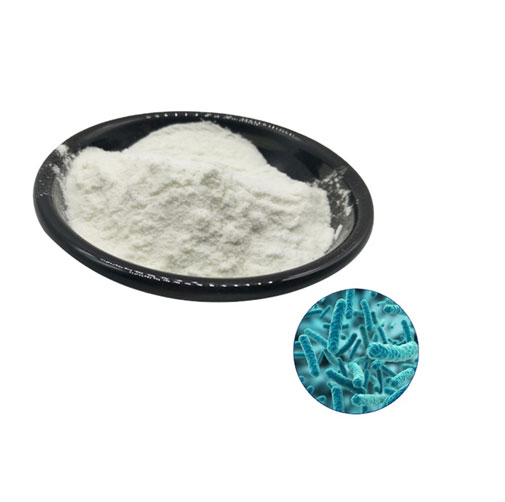 Lactobacillus Acidophilu