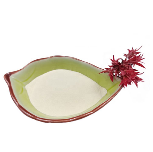 lactobacillus plantarum 299v