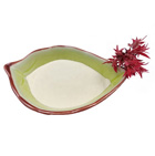 Lactobacillus Plantarum 