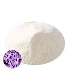 Lactobacillus Rhamnosus 