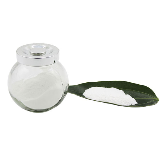 Lactobacillus Salivarius