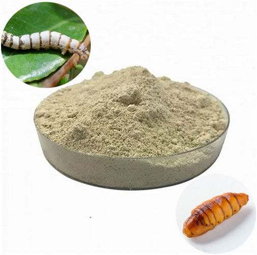 Male Silkworm Pupa Peptide