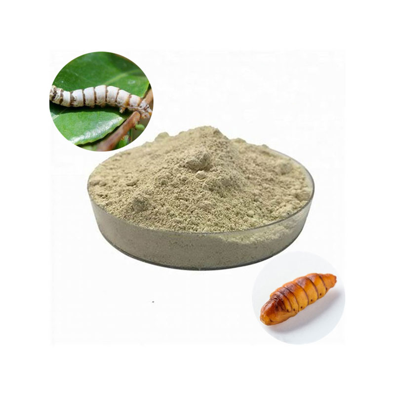 Male Silkworm Pupa Peptide