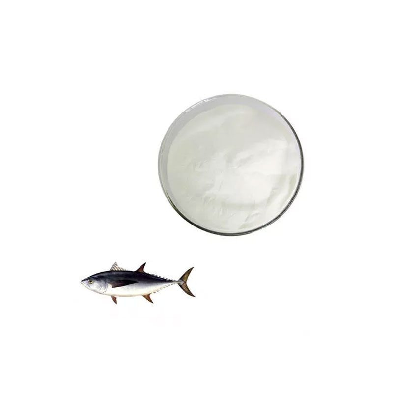 Marine Fish Collagen Peptide