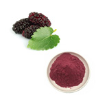 Mulberry Extract 