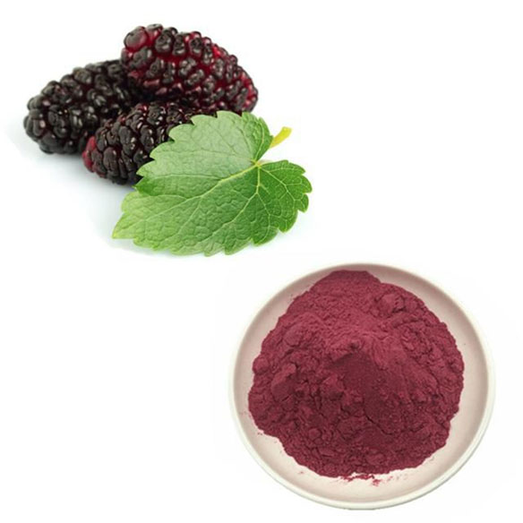 Mulberry Extract