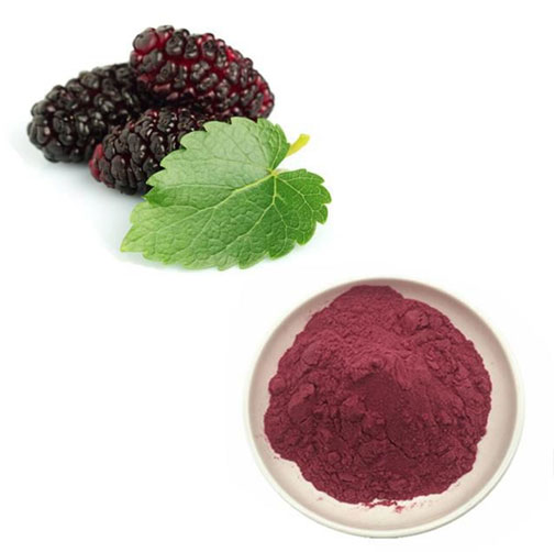 Mulberry Leaf Extract