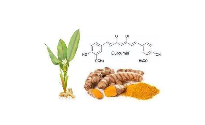 Plant polyphenols