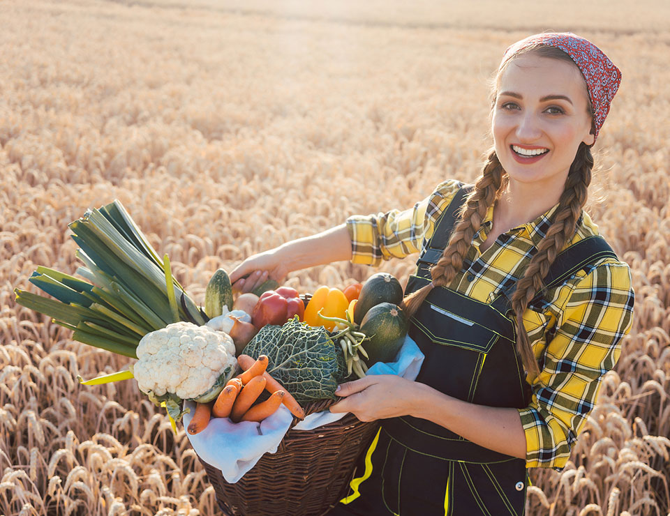 GIHICHEM Natural Food Ingredients Manufacturer