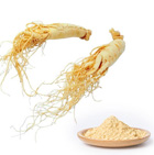 Panax Ginseng Extract 