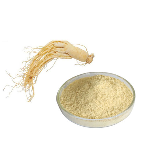 Panax Ginseng Extract