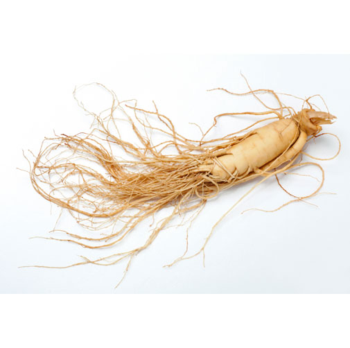 Panax Quinquefolium Root Extract