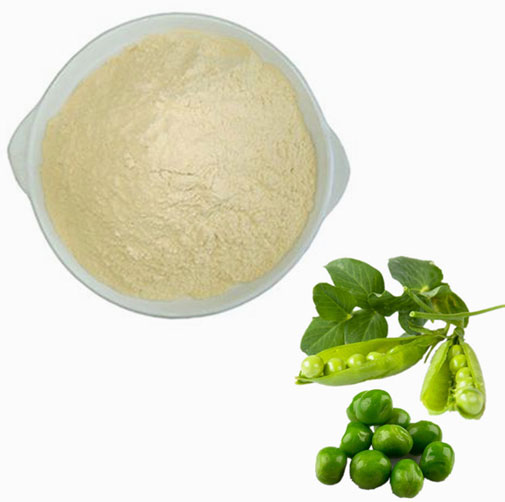 Pea Peptides