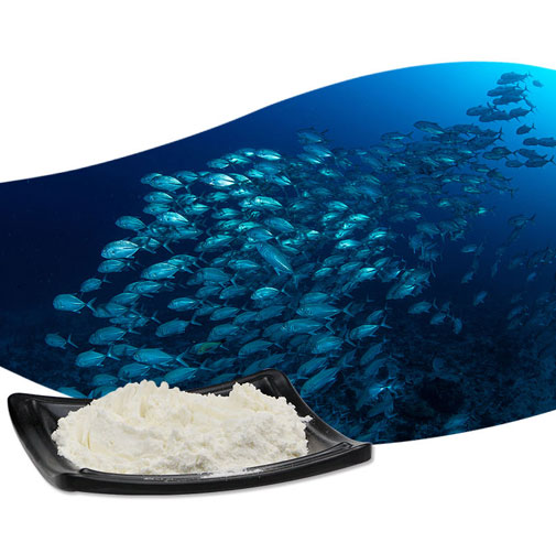 Peptide Marine Collagen