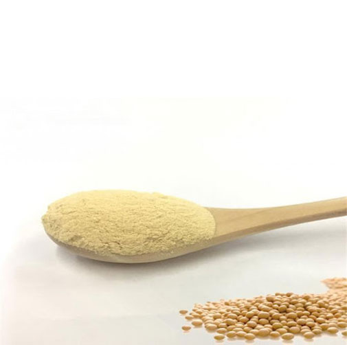 Phosphatidylserine Function