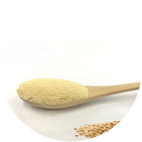 Functions of Phosphatidylserine