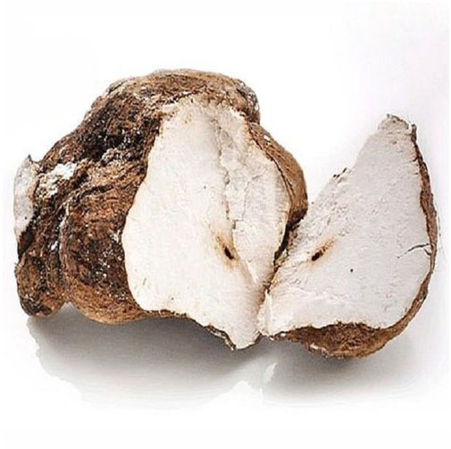 Poria Cocos Powder