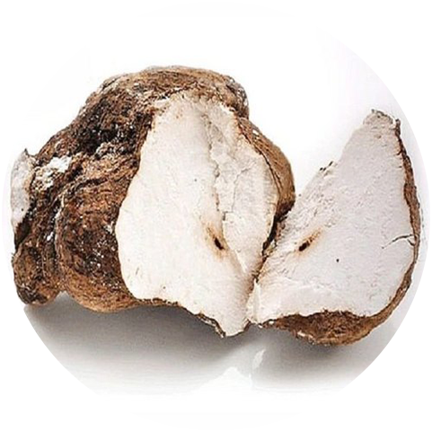 Functions of Poria Cocos Extract
