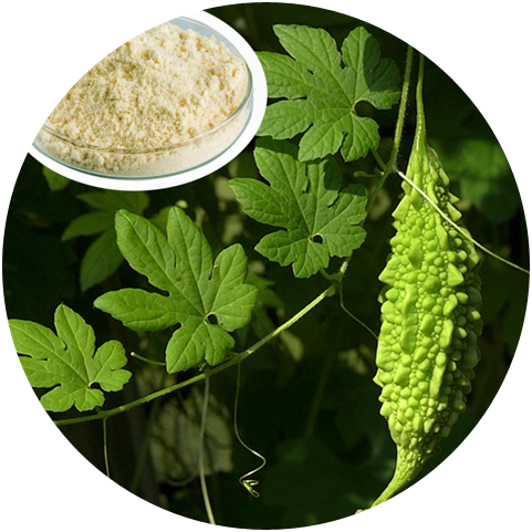 Main ingredients of Polypeptide-k 85%, PPK, Momordica Peptide