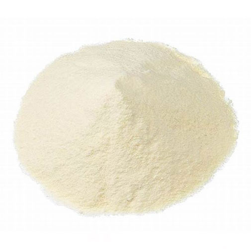 Premium Fish Collagen