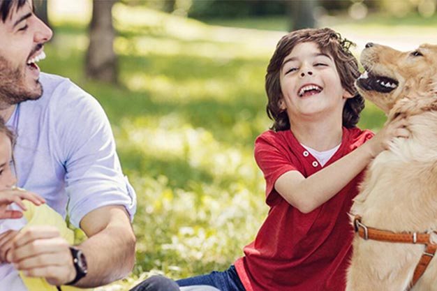 What Are the Functions of Probiotics?