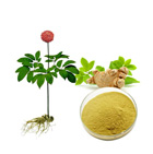 Radix Notoginseng Extract 
