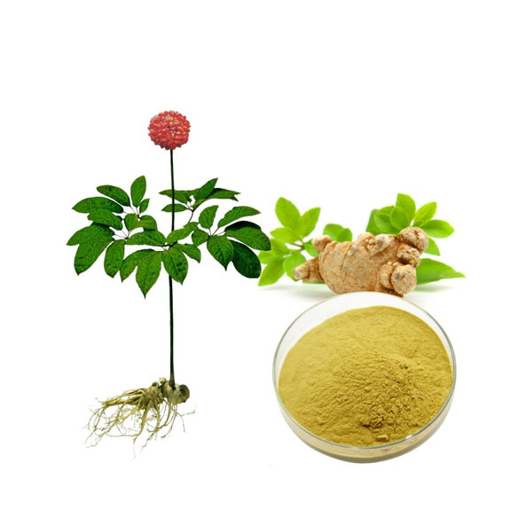 Radix Notoginseng Extract