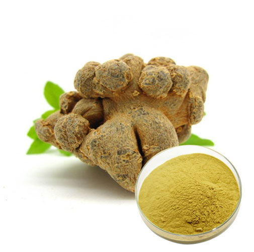 Radix Notoginseng Extract