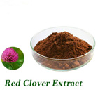 Red Clover Extract 