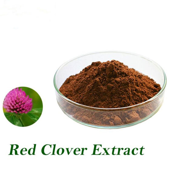 Red Clover Extract
