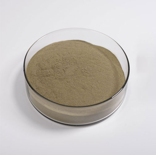 Red Clover Extract
