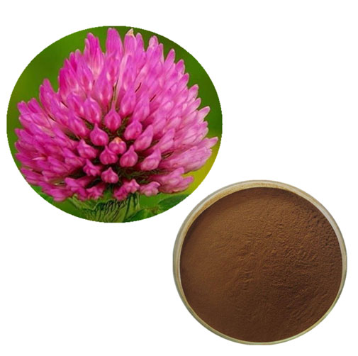Red Clover Flower Extract