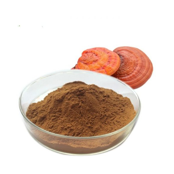Reishi Mushroom Extract