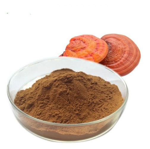 Reishi Mushroom Extract