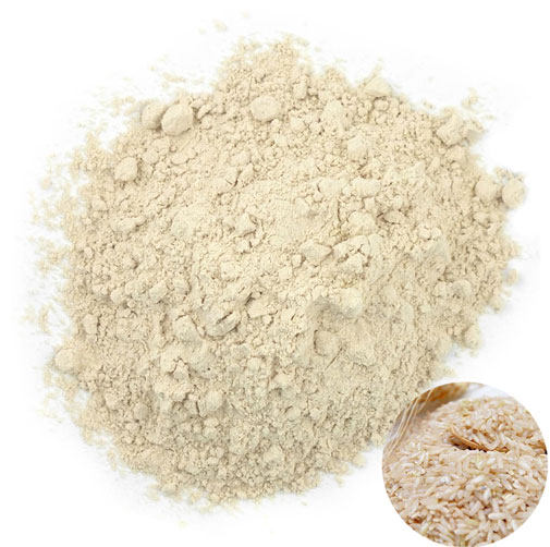 rice protein 1