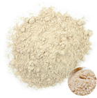 Rice Protein 