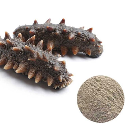 Sea Cucumber Peptide