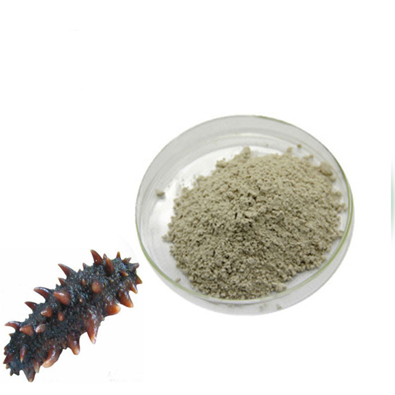 Sea Cucumber Peptide