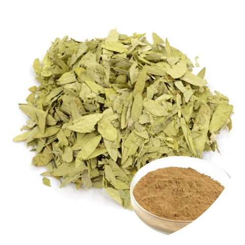 Functions of Senna Leaf Extract