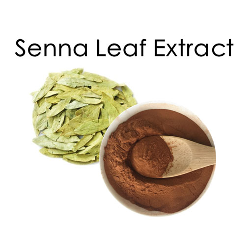 Senna Leaf Extract Powder