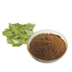Senna Leaf Extract 
