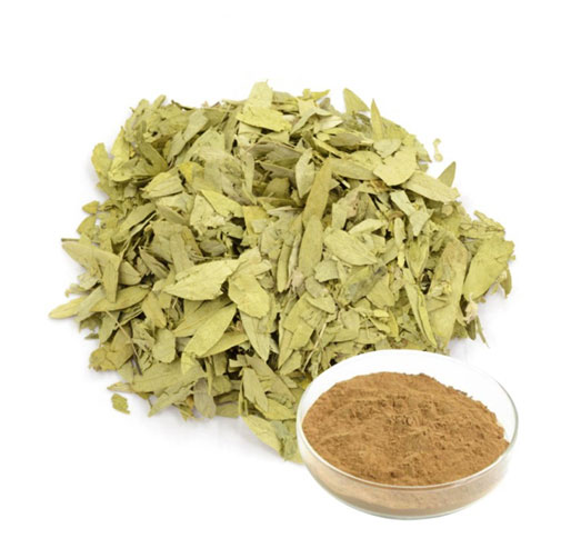 Senna Leaf Extract