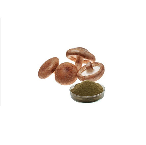 Shitake Extract
