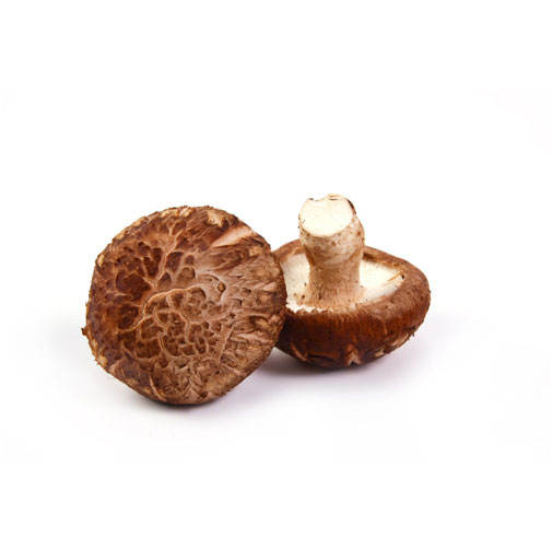 Shitake Mushroom Extract
