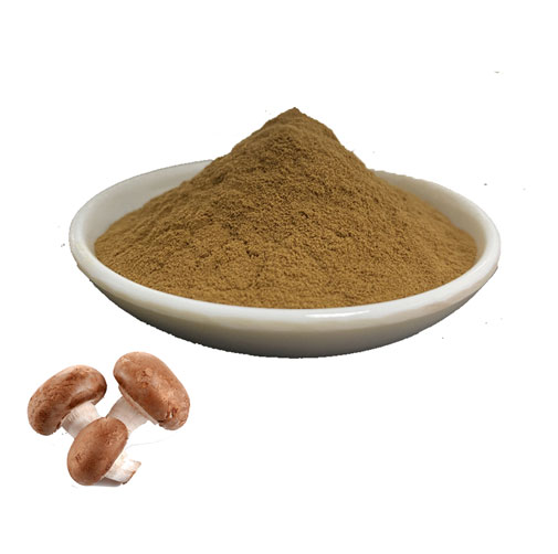 Shitake Mushroom Supplement