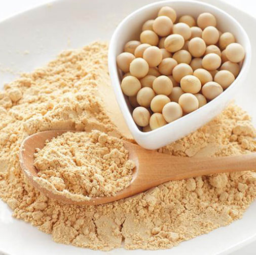 Soy Protein Isolate