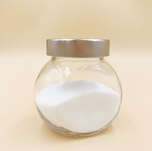sports nutrition companies